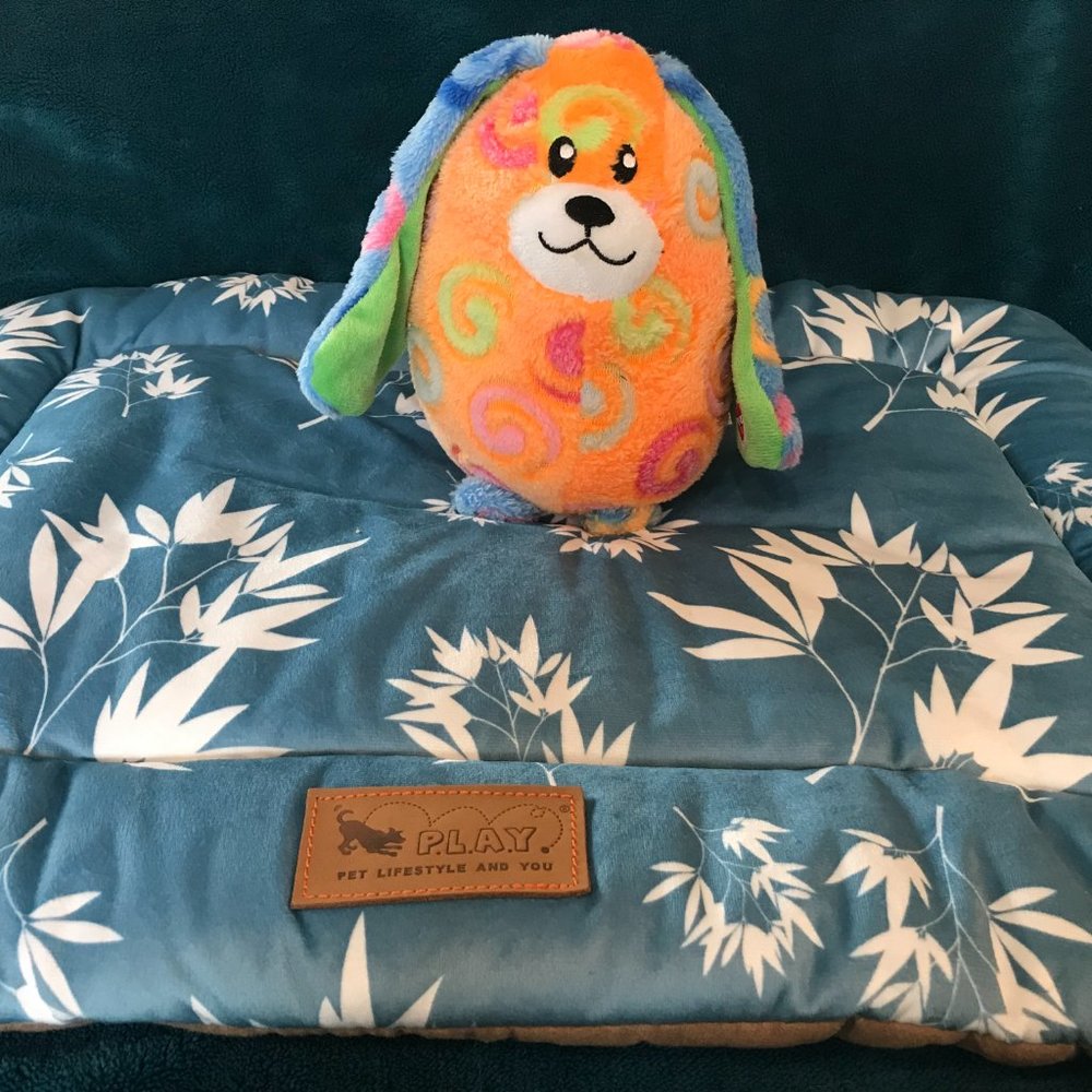 Pet Play Dog Bed (large) and New Toy